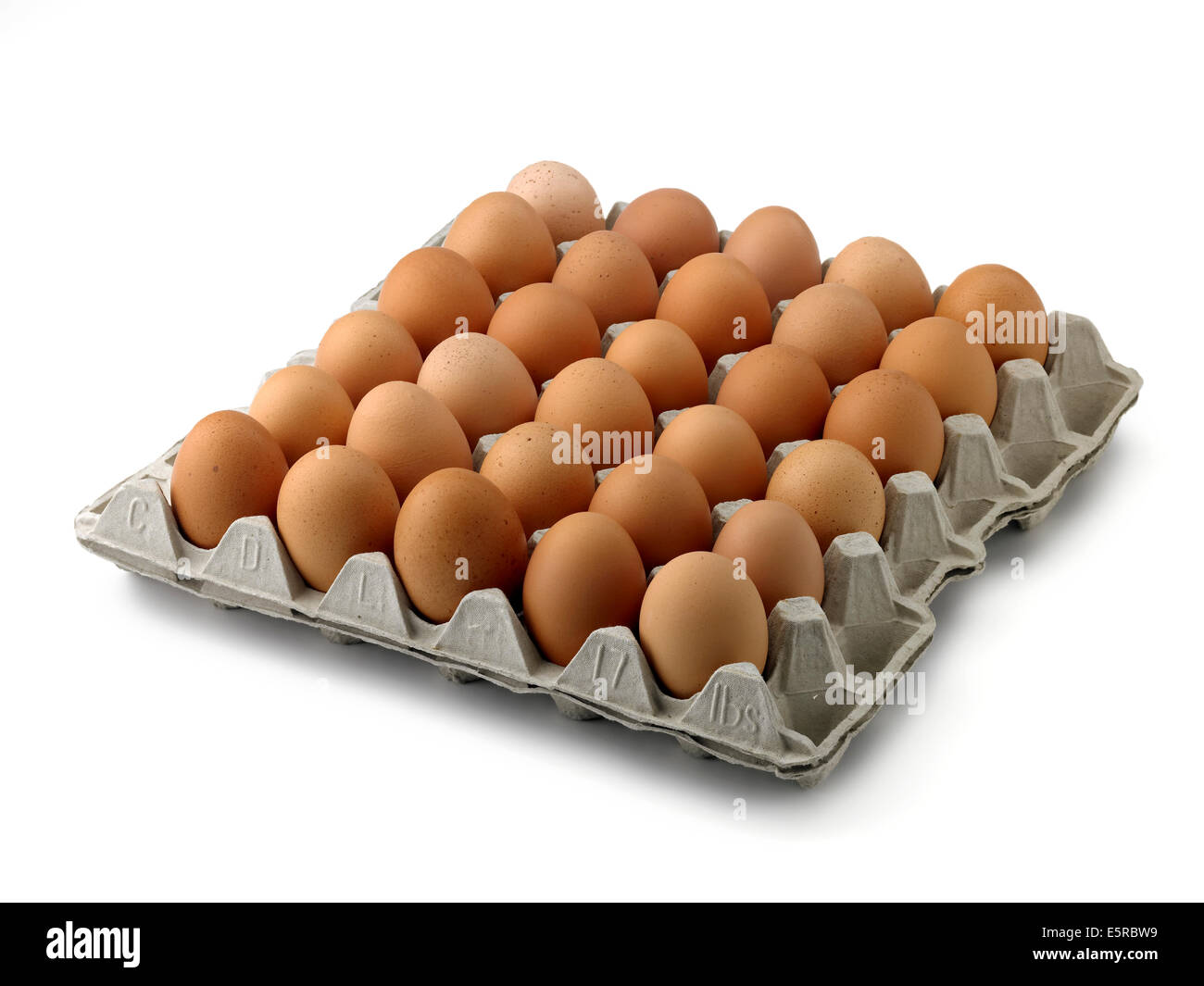 eggs in egg tray Stock Photo