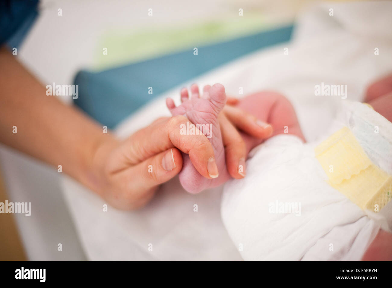 Newborn baby's feet Stock Photo - Alamy
