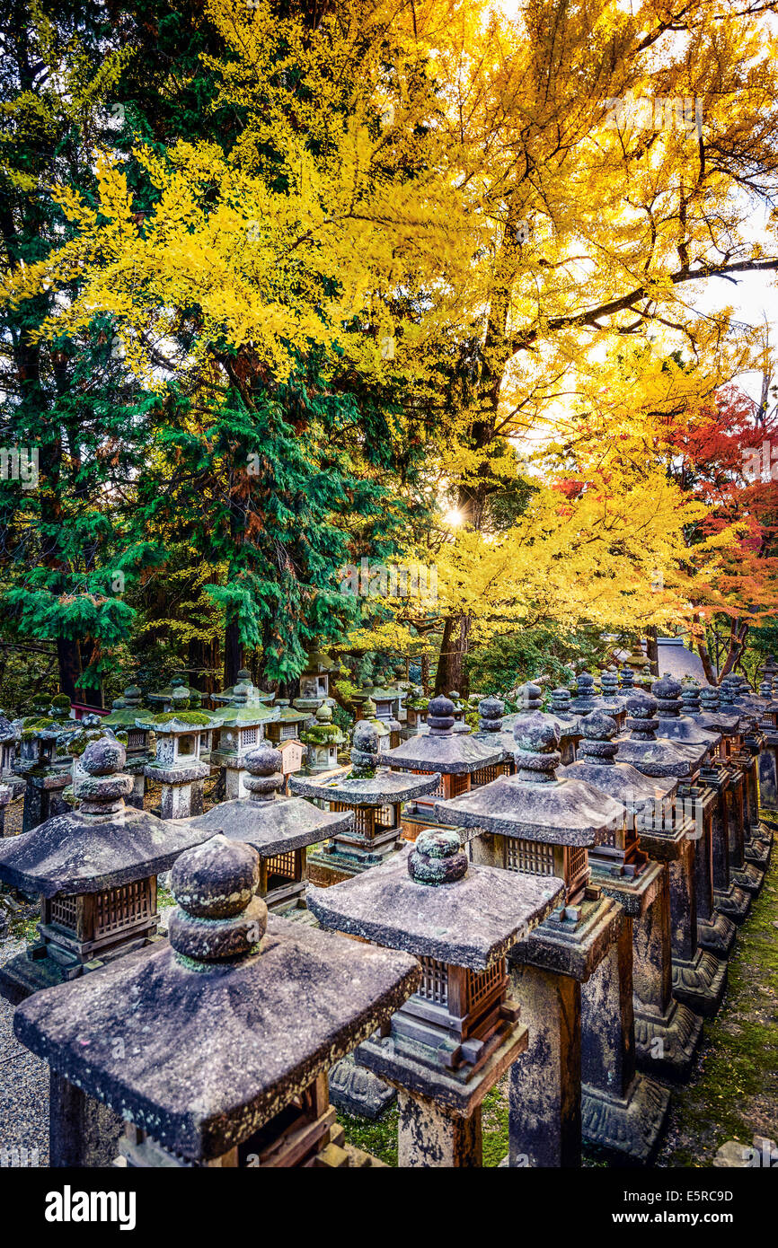 Nara, Japan at Kasuga-Taisha Shrine with fall foliage. Stock Photo