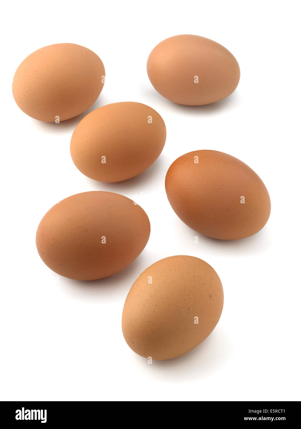 half dozen eggs Stock Photo