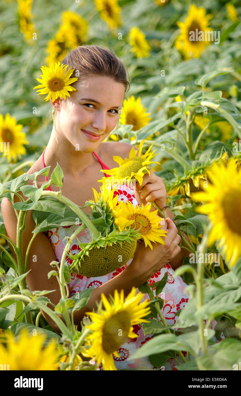 Woman in a sunflower field Stock Photo - Alamy