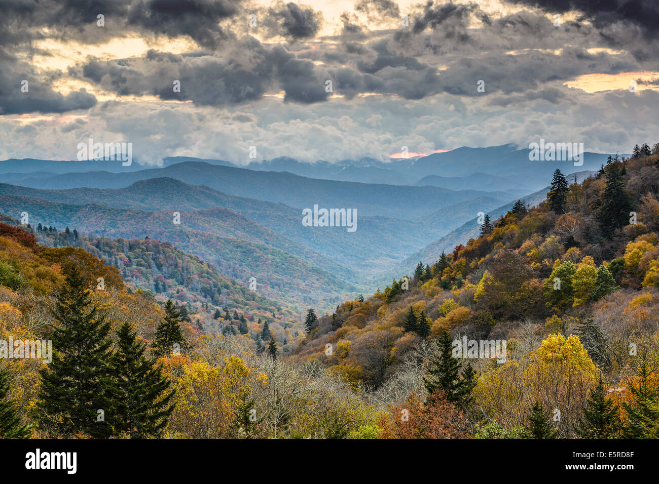 Dawn in the Smoky Mountains National Park, Tennessee, USA Stock Photo