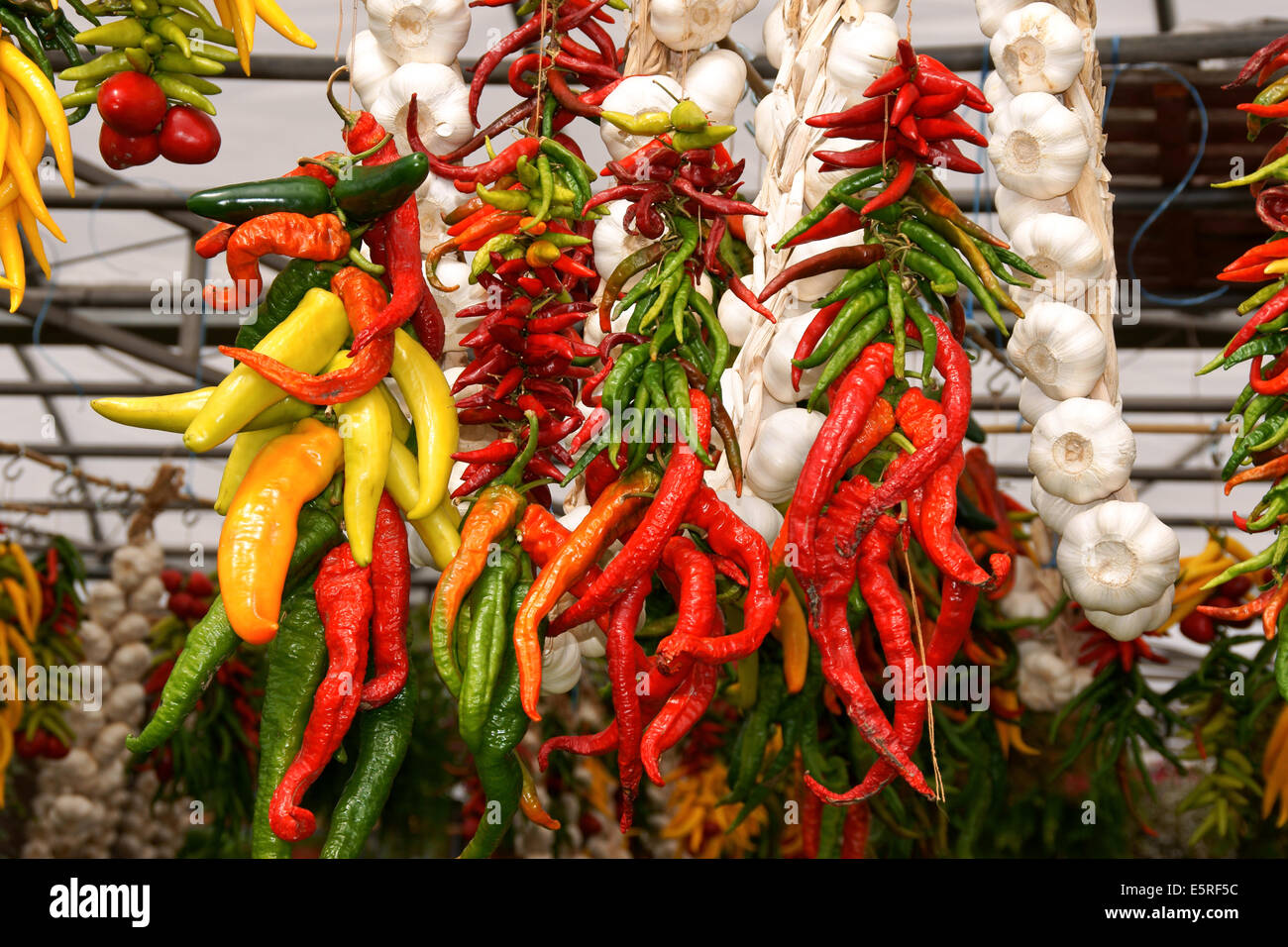 Chili peppers on a market stall hi-res stock photography and images - Alamy
