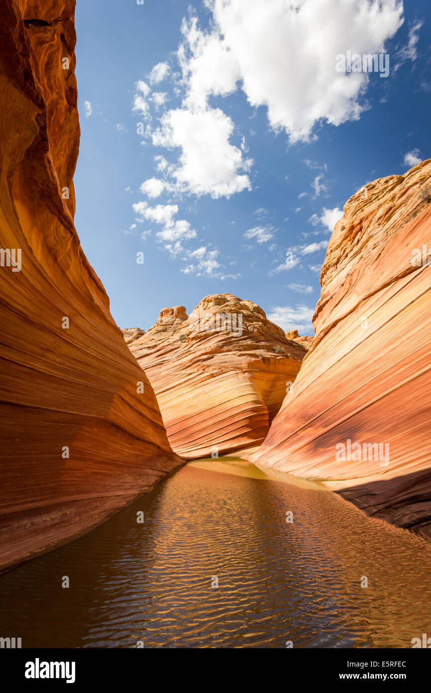 The Wave, Arizona. Reflections & amazing flowing rock formation in the