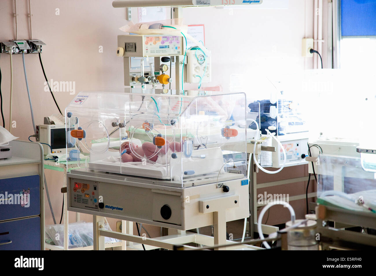 Newborn baby in an incubator, Maternity department, Cochin hospital