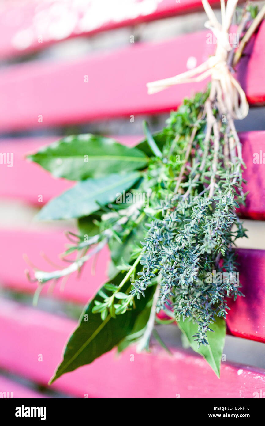 Bouquet garni, assorted herbs Stock Photo - Alamy