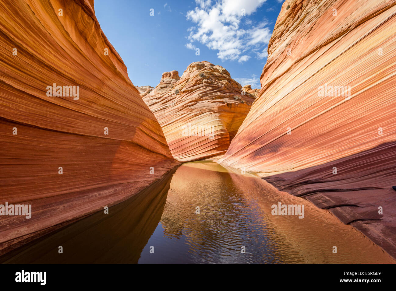 The Wave, Arizona. Amazing flowing rock formation in the rocky desert