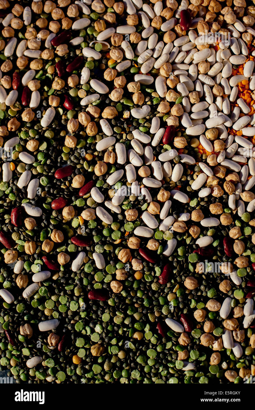 Dried pulses. Stock Photo