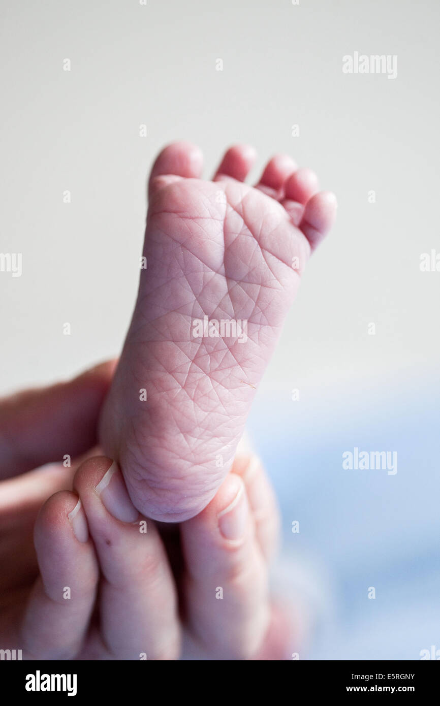 3 week old baby's foot. Stock Photo