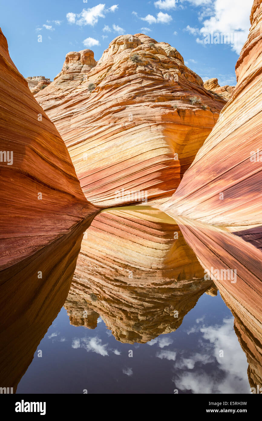 The Wave, Arizona. Amazing flowing rock formation in the rocky desert ...