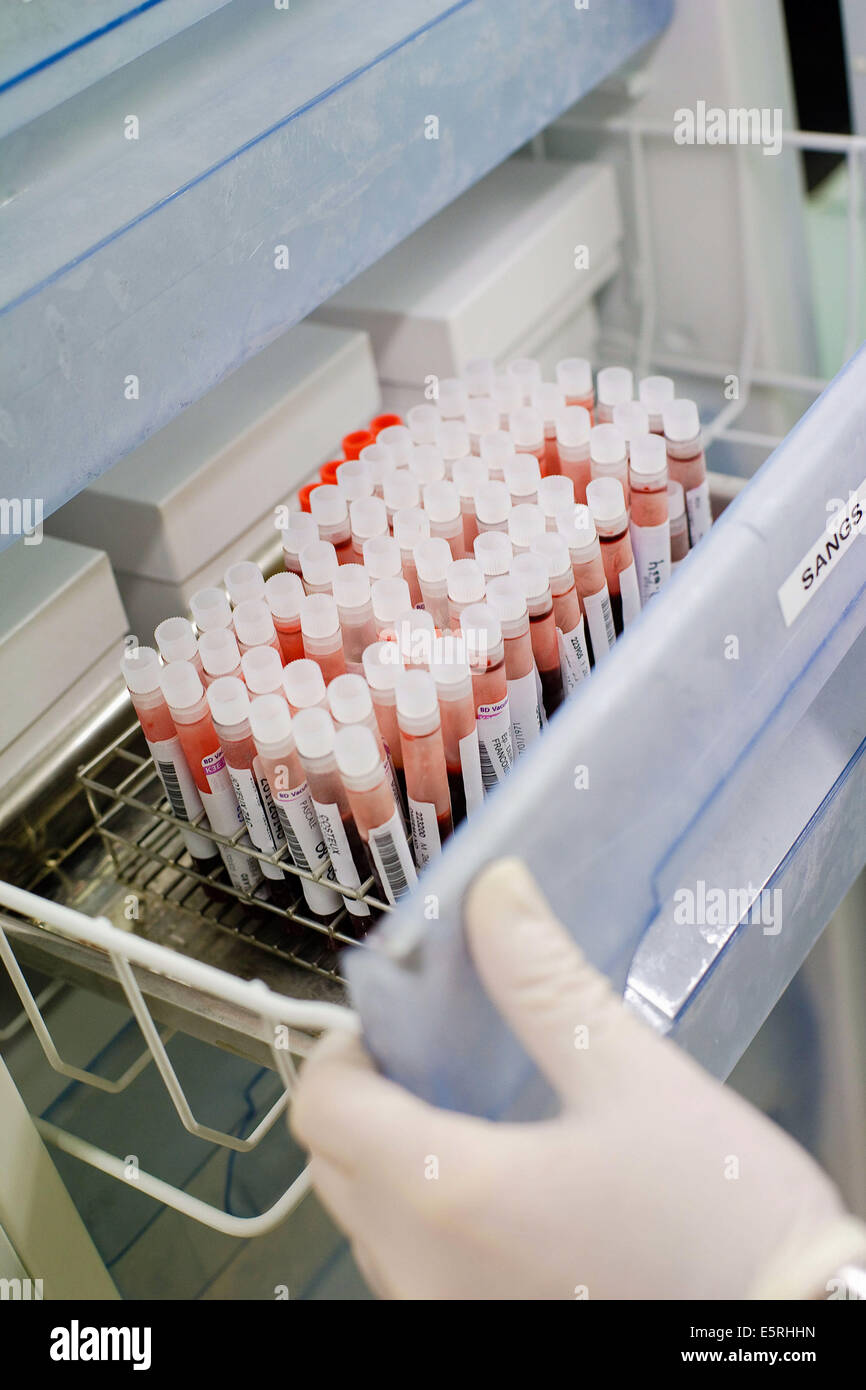 Cryopreservation of blood samples and extracts of DNA, Human Molecular