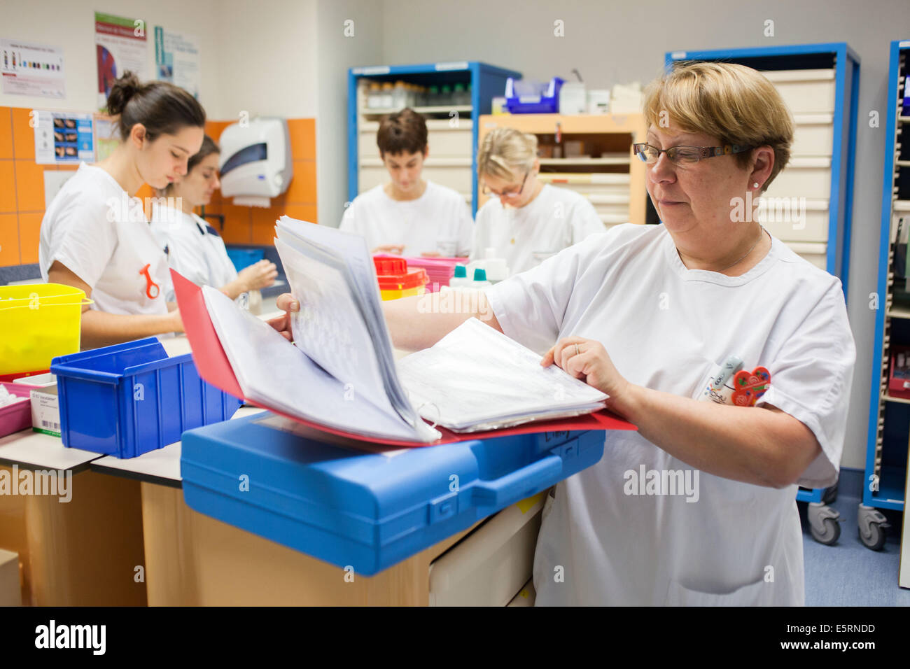 Umbilical cord blood for stem cell harvesting. Midwife. Obstetrics and gynaecology department, Limoges hospital, France. Stock Photo