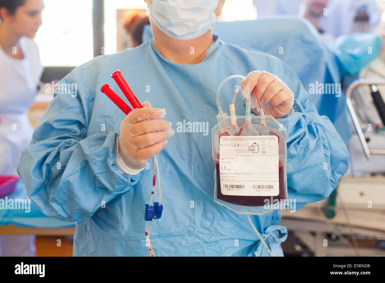 Umbilical cord blood for stem cell harvesting. Bag of placental blood. Obstetrics and gynaecology department, Limoges hospital, Stock Photo