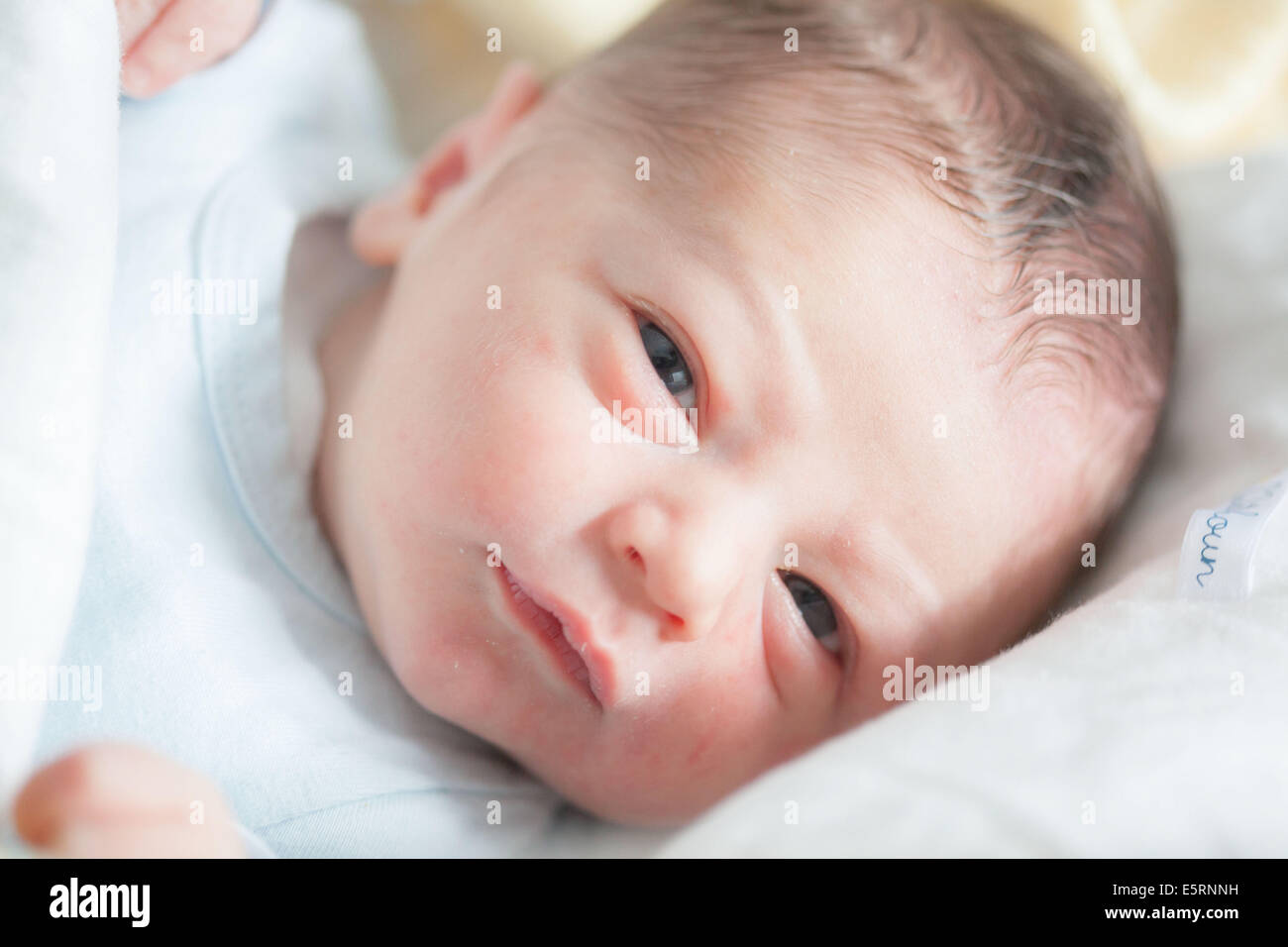 One Day Old Baby Boy One Day Old Baby Boy
