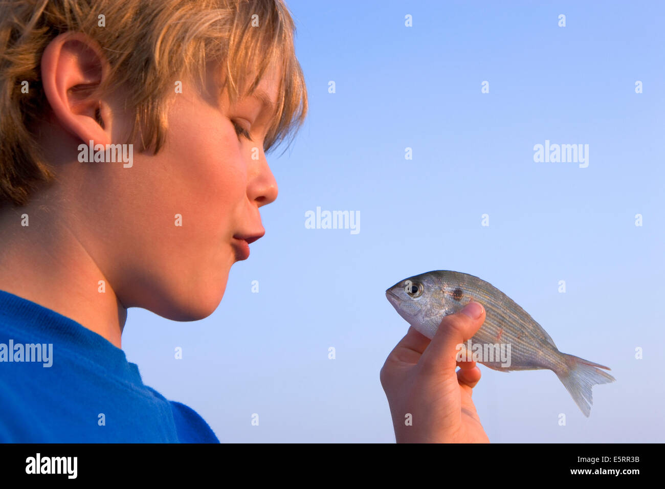 Young blond boy Stock Photo
