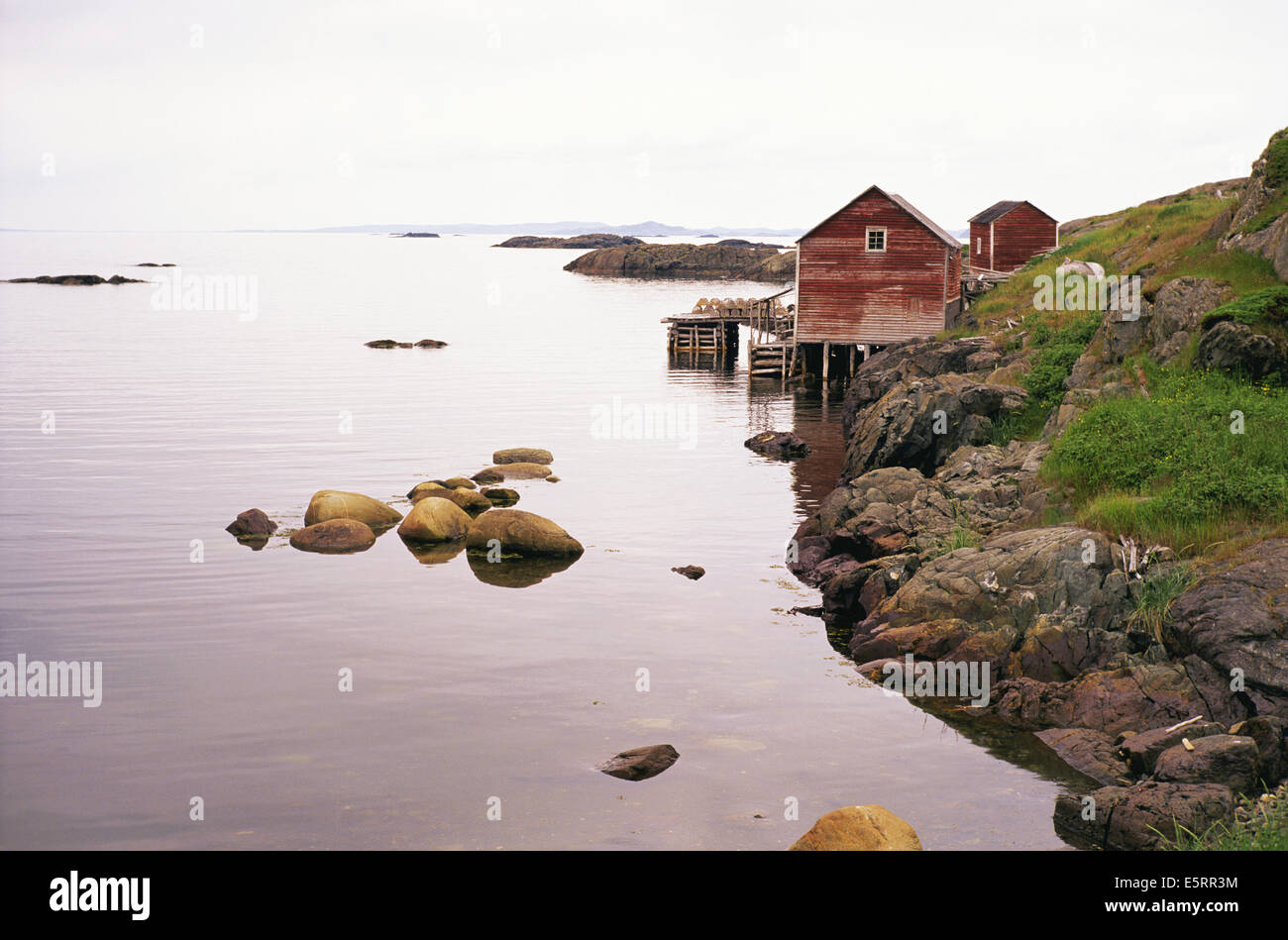 House along rocky coastline in Newfoundland, Canada Stock Photo