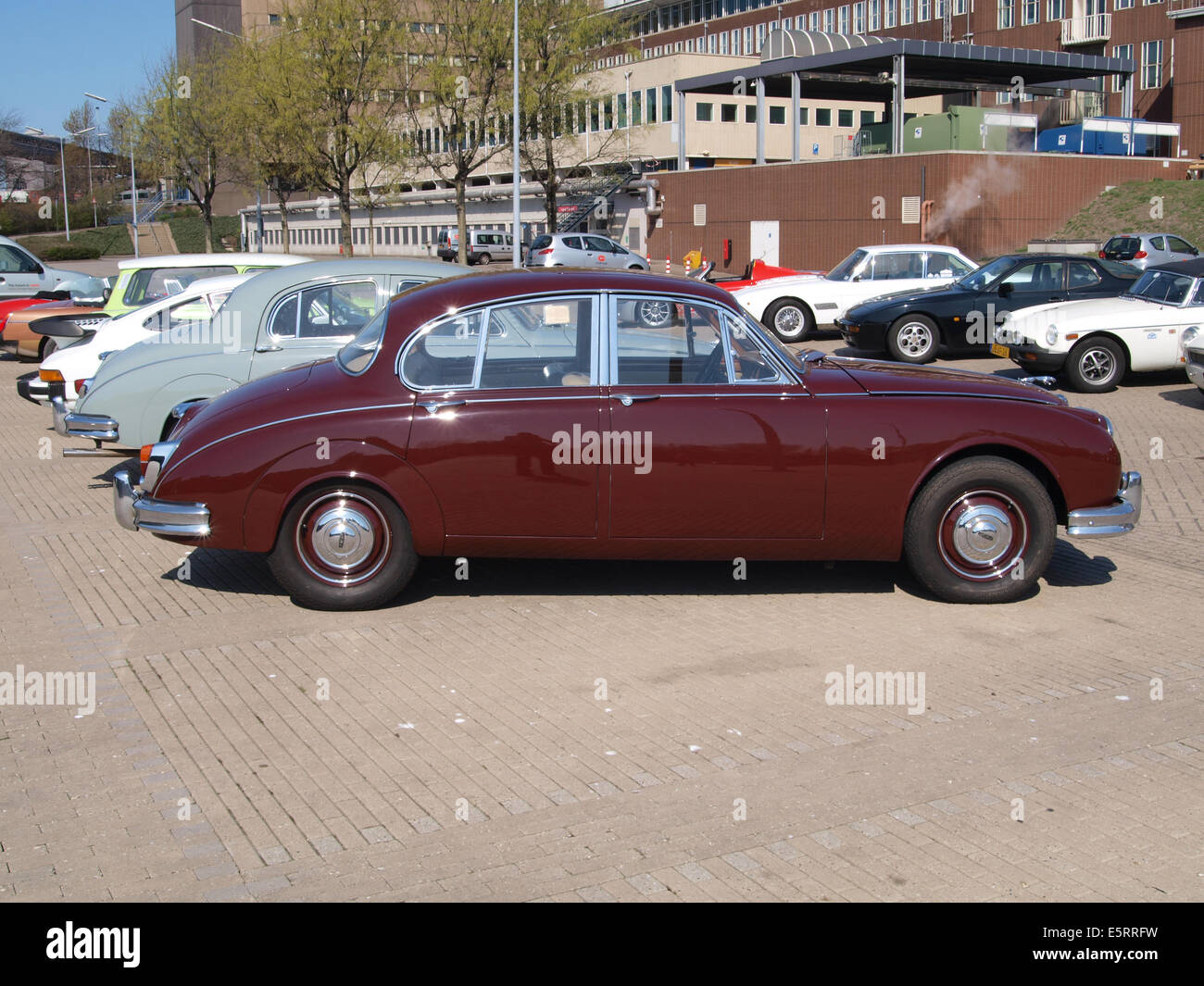 The 1967 Jaguar Mark 2-3.4 L, with Dutch license registration 96-50-DE, is a classic luxury car. Known for its sleek design and powerful engine, it remains a sought-after collector's vehicle. Stock Photo