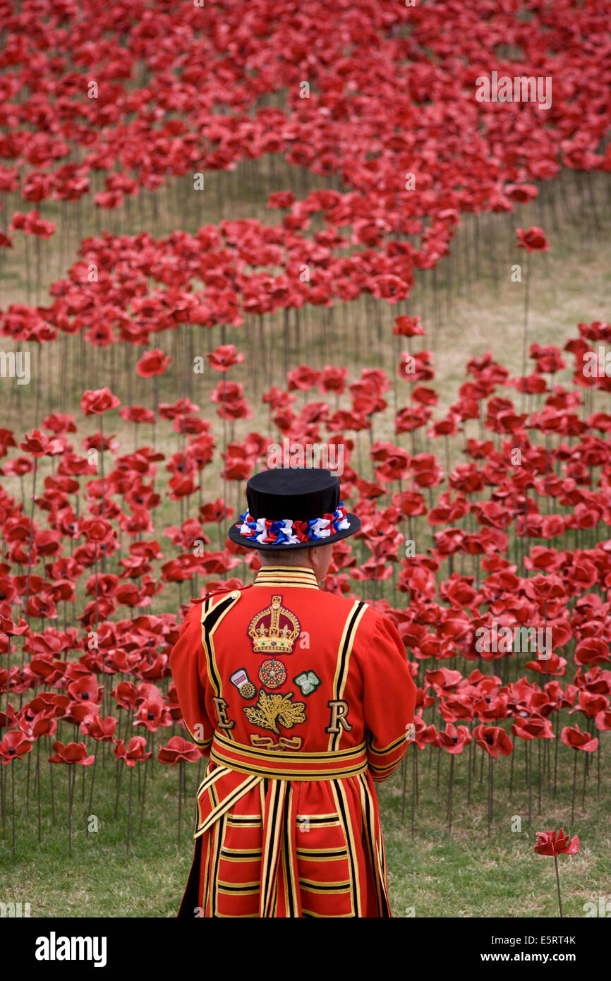 London, UK 5th August 2014: Marking the centenary of the beginning of the First World War (WW1) in 1914, a Tower of London Beefeater stands among some of the 888,246 ceramic poppies - one for each British military death - created by artist Paul Cummins. Remaining in place until the date of the armistice on November 11th. Across the world, remembrance ceremonies for this historic conflict that affected world nations, London saw many such gestures to remember the millions killed in action at the beginning of the 20th century. Credit:  Richard Baker / Alamy Live News. Stock Photo