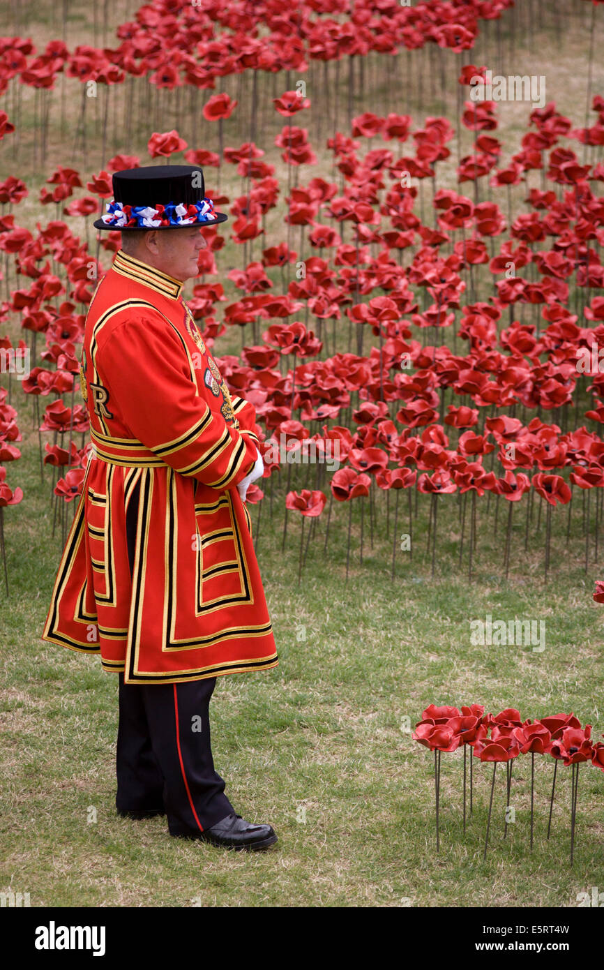 London, UK 5th August 2014: Marking the centenary of the beginning of the First World War (WW1) in 1914, a Tower of London Beefeater stands among some of the 888,246 ceramic poppies - one for each British military death - created by artist Paul Cummins. Remaining in place until the date of the armistice on November 11th. Across the world, remembrance ceremonies for this historic conflict that affected world nations, London saw many such gestures to remember the millions killed in action at the beginning of the 20th century. Credit:  Richard Baker / Alamy Live News. Stock Photo