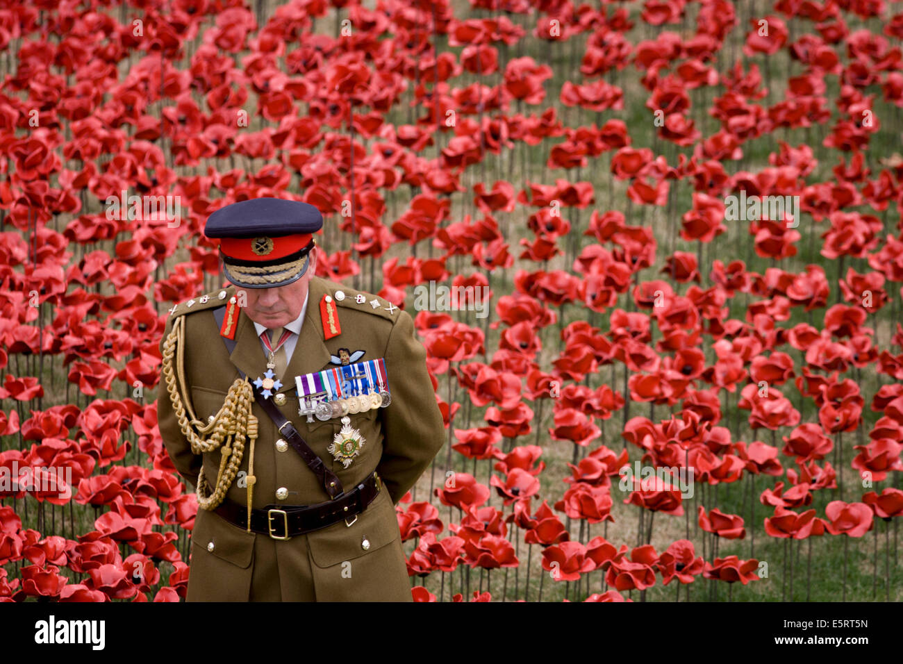 London, UK 5th August 2014: Marking the centenary of the beginning of the First World War (WW1) in 1914, General the Lord Dannatt stands among some of the ceramic poppies created by artist Paul Cummins.  Remaining in place until the date of the armistice on November 11th. Across the world, remembrance ceremonies for this historic conflict that affected world nations. General Francis Richard Dannatt, Baron Dannatt, GCB, CBE, MC, DL (born 1950) is a retired British Army officer and the incumbent Constable of the Tower of London. Credit:  Richard Baker / Alamy Live News. Stock Photo