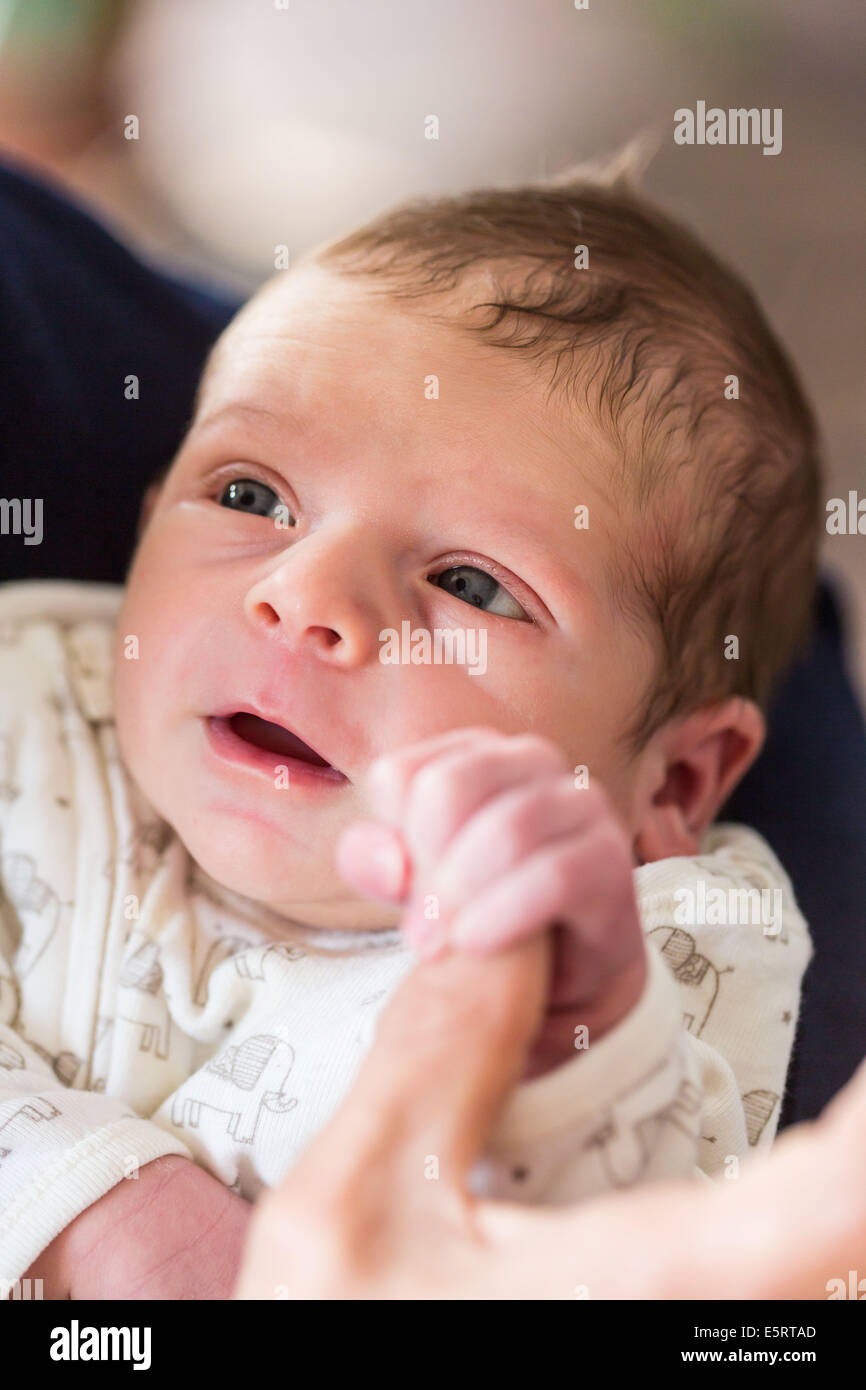 Two week old baby boy Stock Photo Alamy