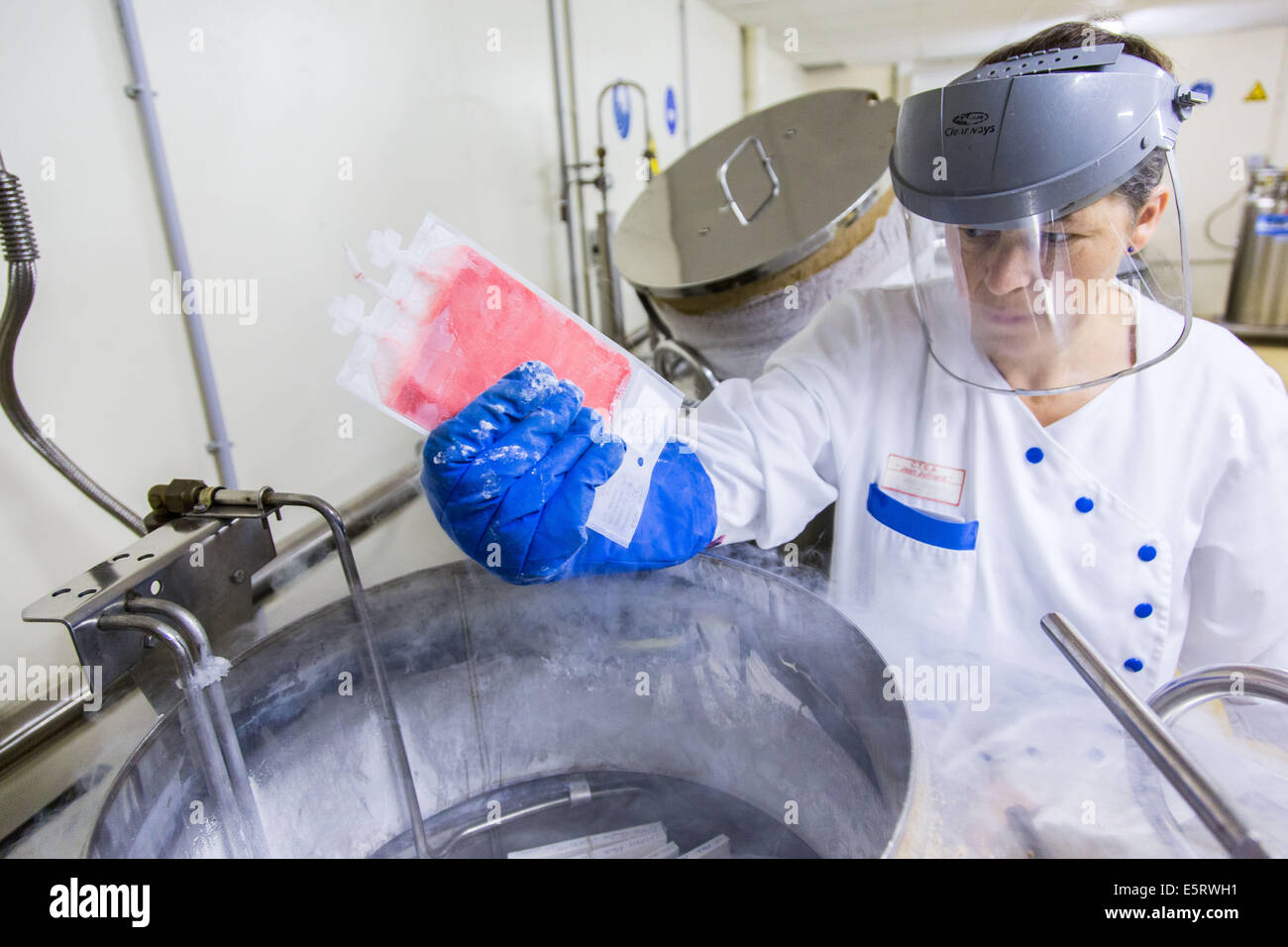 Technician holding a hematopoietic stem cells frozen bag, Cell Therapy Unit, CTSA in Clamart, France. Stock Photo