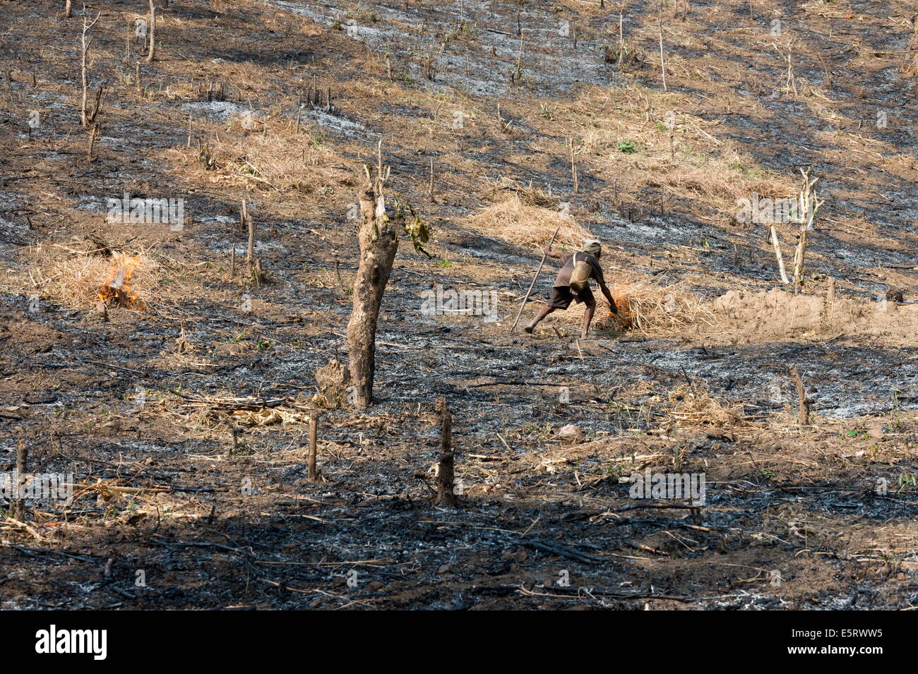 Chin farmer burning hillside prior to planting corn, beans and hemlock (for export to China for medicine, hills near Mindat Stock Photo