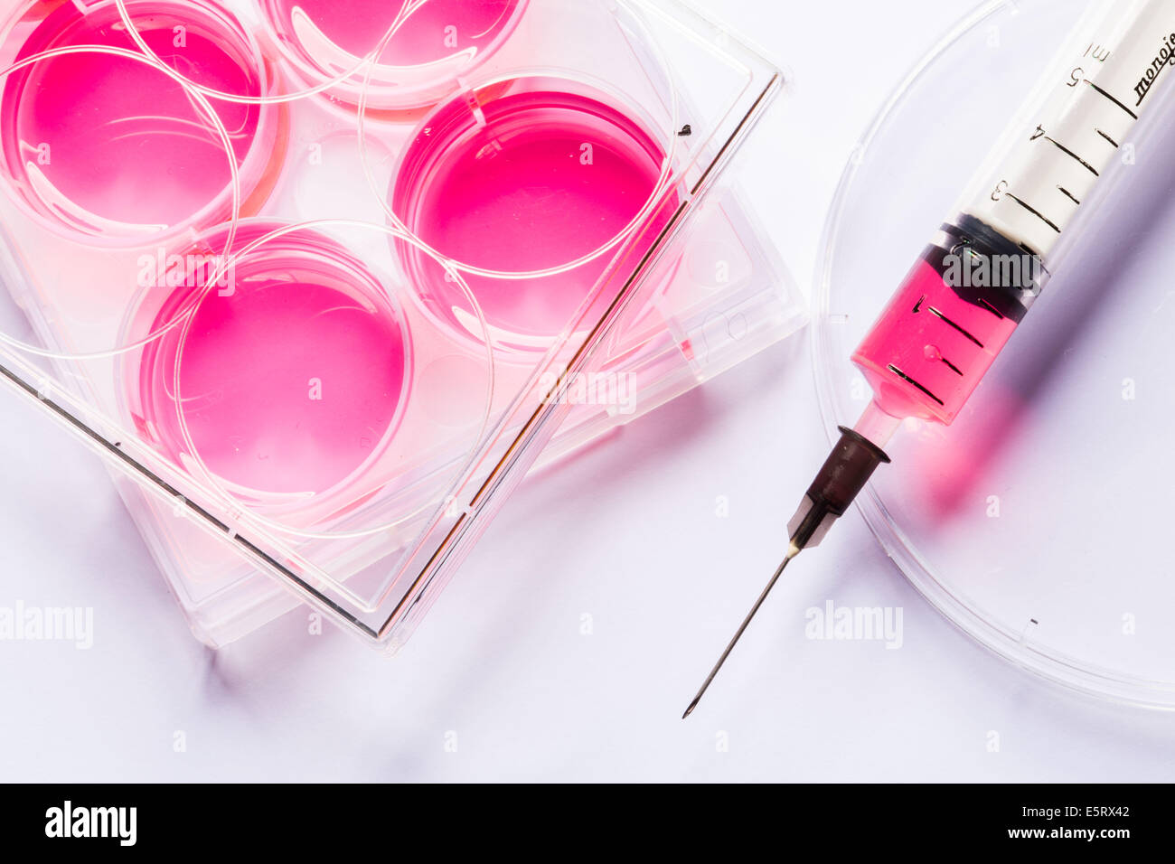 Stem cell research, Syringe and multiwell sample tray. Stock Photo