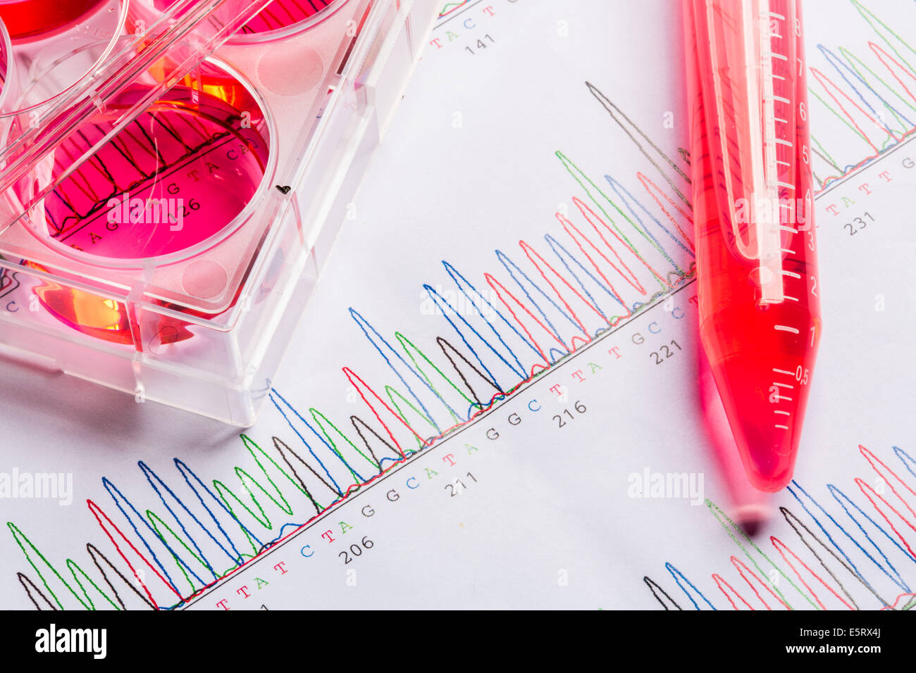 Genetic research. Stock Photo