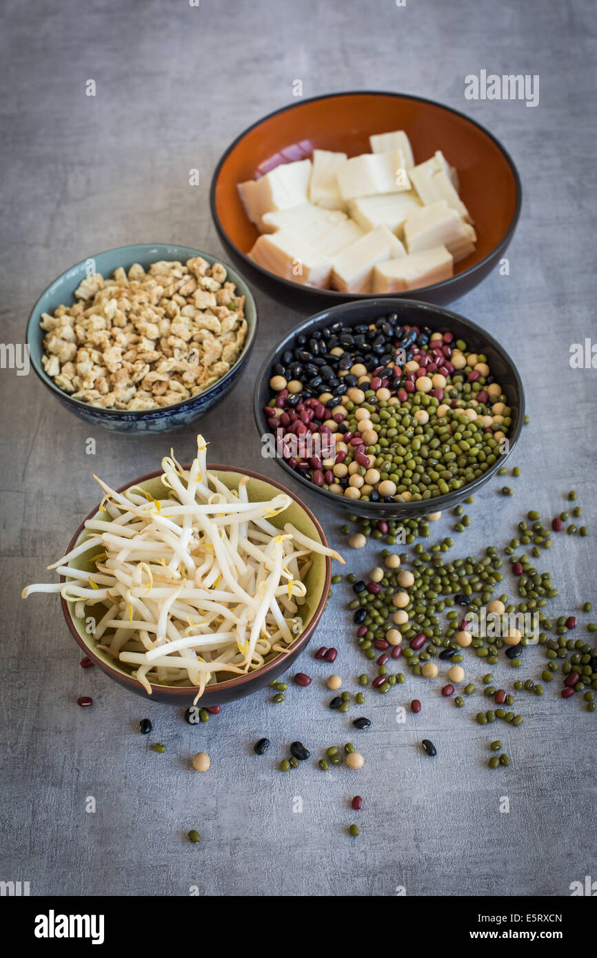 Soybean sprouts, Soja beans, tofu and soya protein chunks, Made from defatted steamed soybeans
