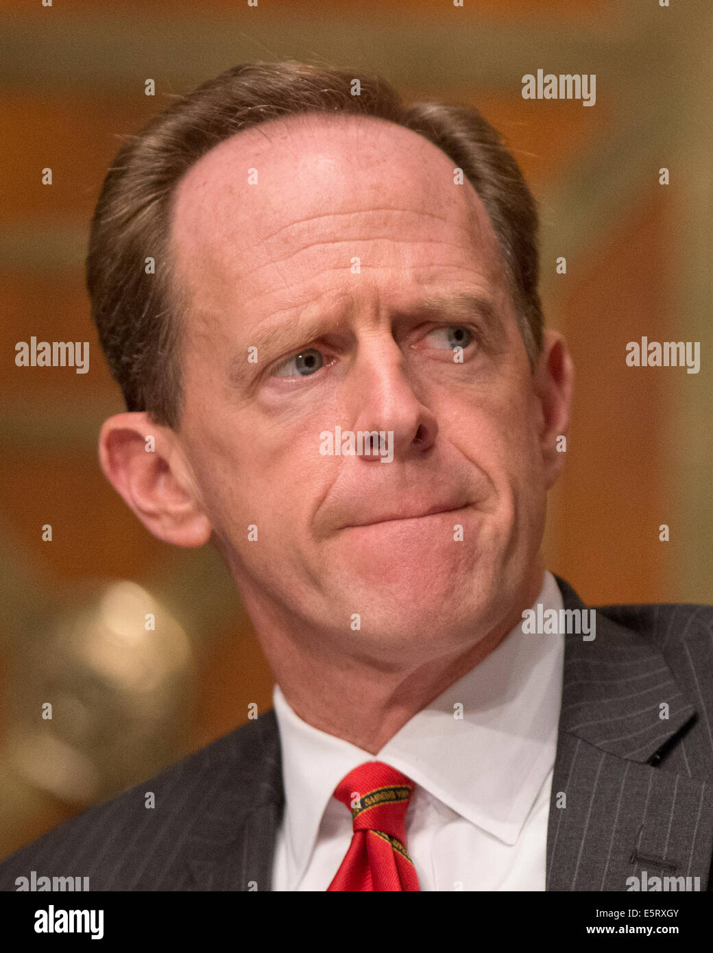 Pat Temple's Instagram, Twitter & Facebook on IDCrawl