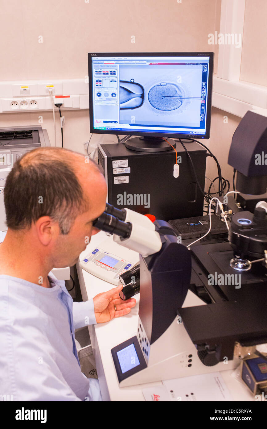 Technician Using A Light Microscope To Inject Human Sperm Into A Human Egg Cell Ovum During In 5154