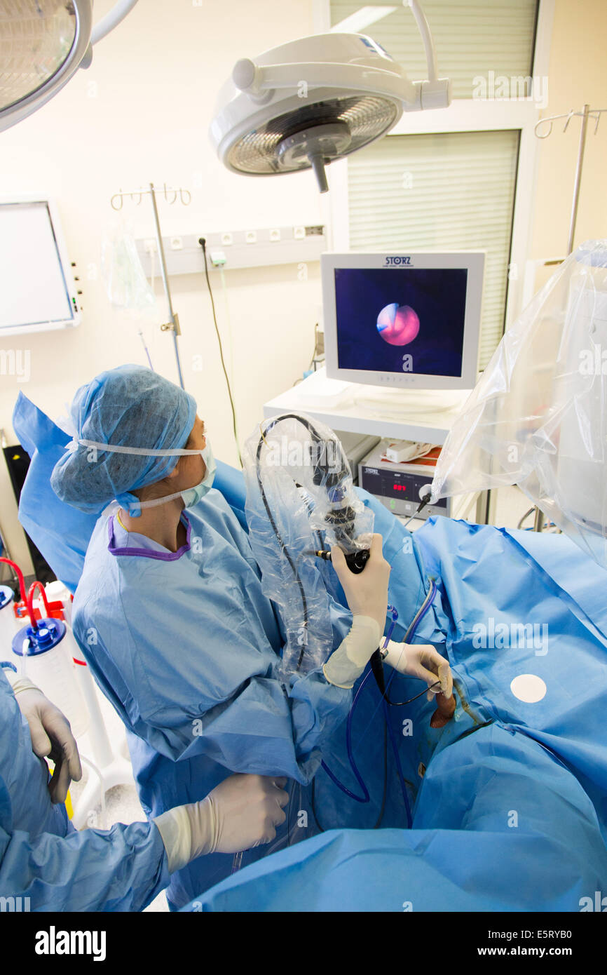 Flexible laser ureterorenoscopy, intracorporeal lithotripsy, An ureterorenoscope is introduced through the ureter to pulverize Stock Photo