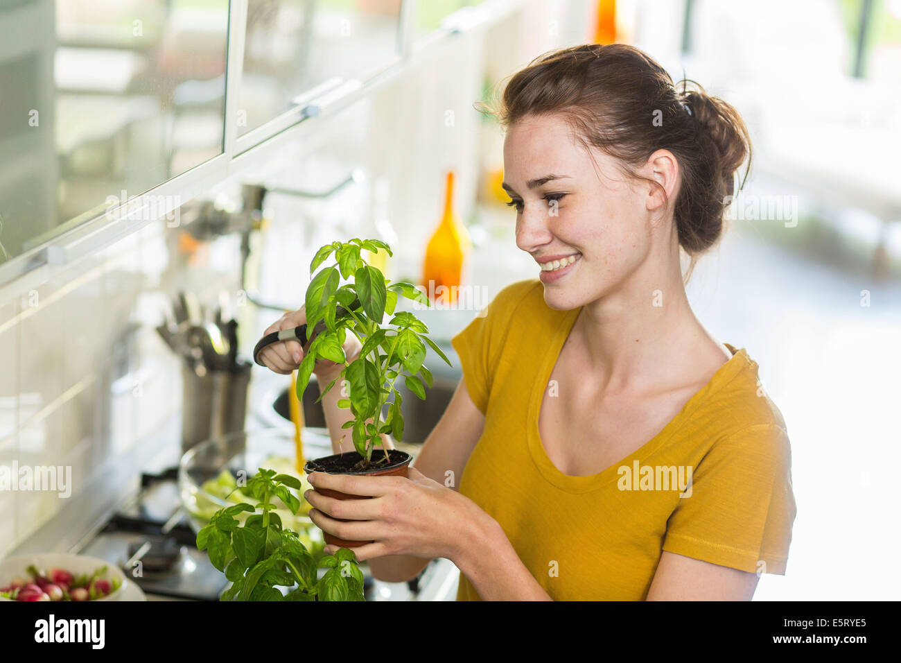 Woman Cutting Basil Stock Photo Alamy Woman cutting basil stock photo alamy