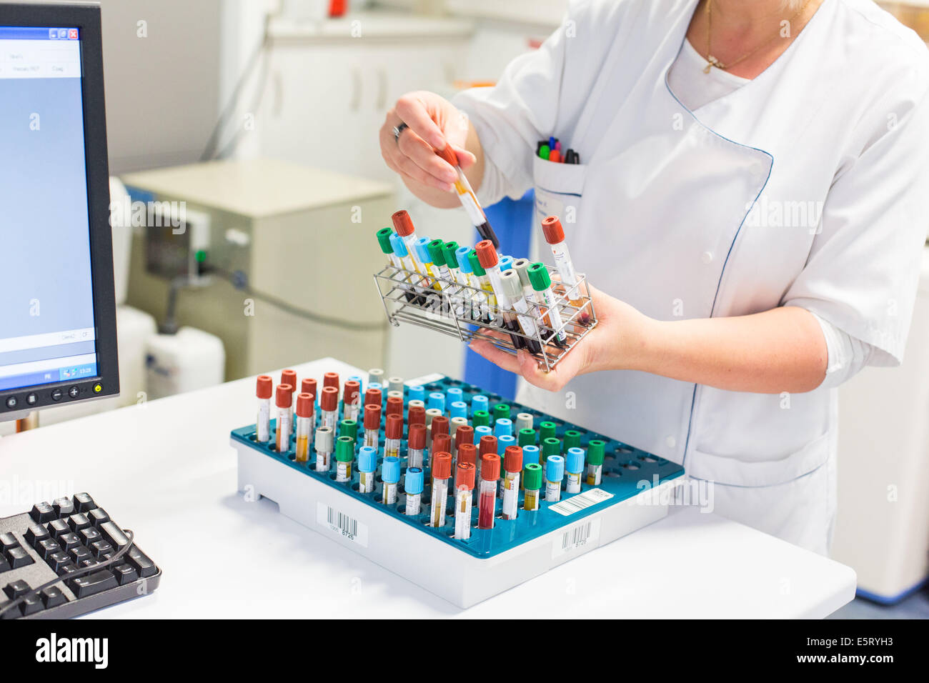 Female technician handling blood samples in a medical laboratory. Stock Photo
