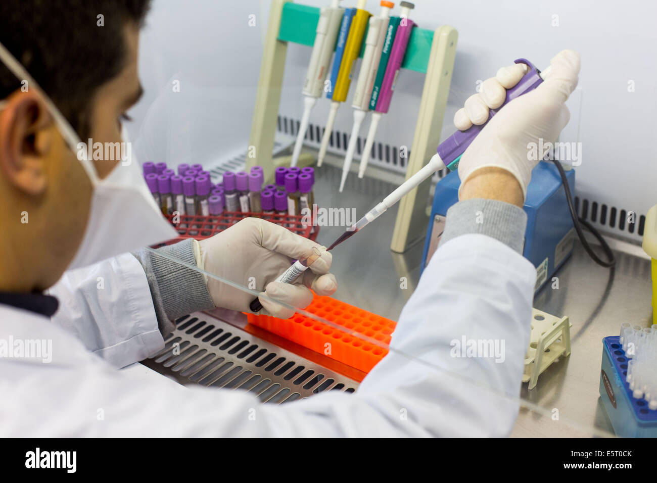 Researcher in a laboratory of the Centre de Reference National des Hepatites virales, Henri Mondor Hospital, Creteil, France. Stock Photo