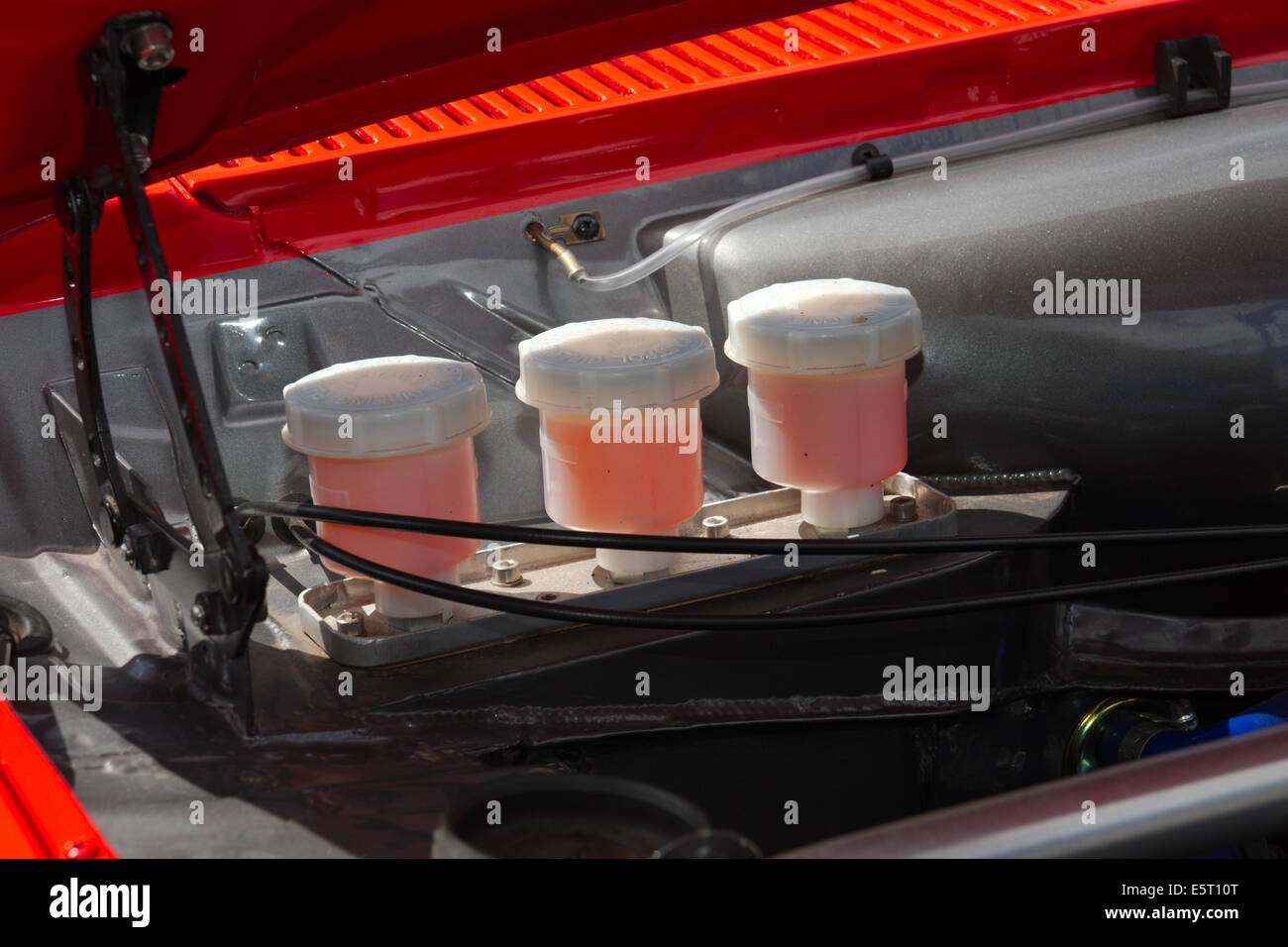 Fluid levels in car engine Stock Photo