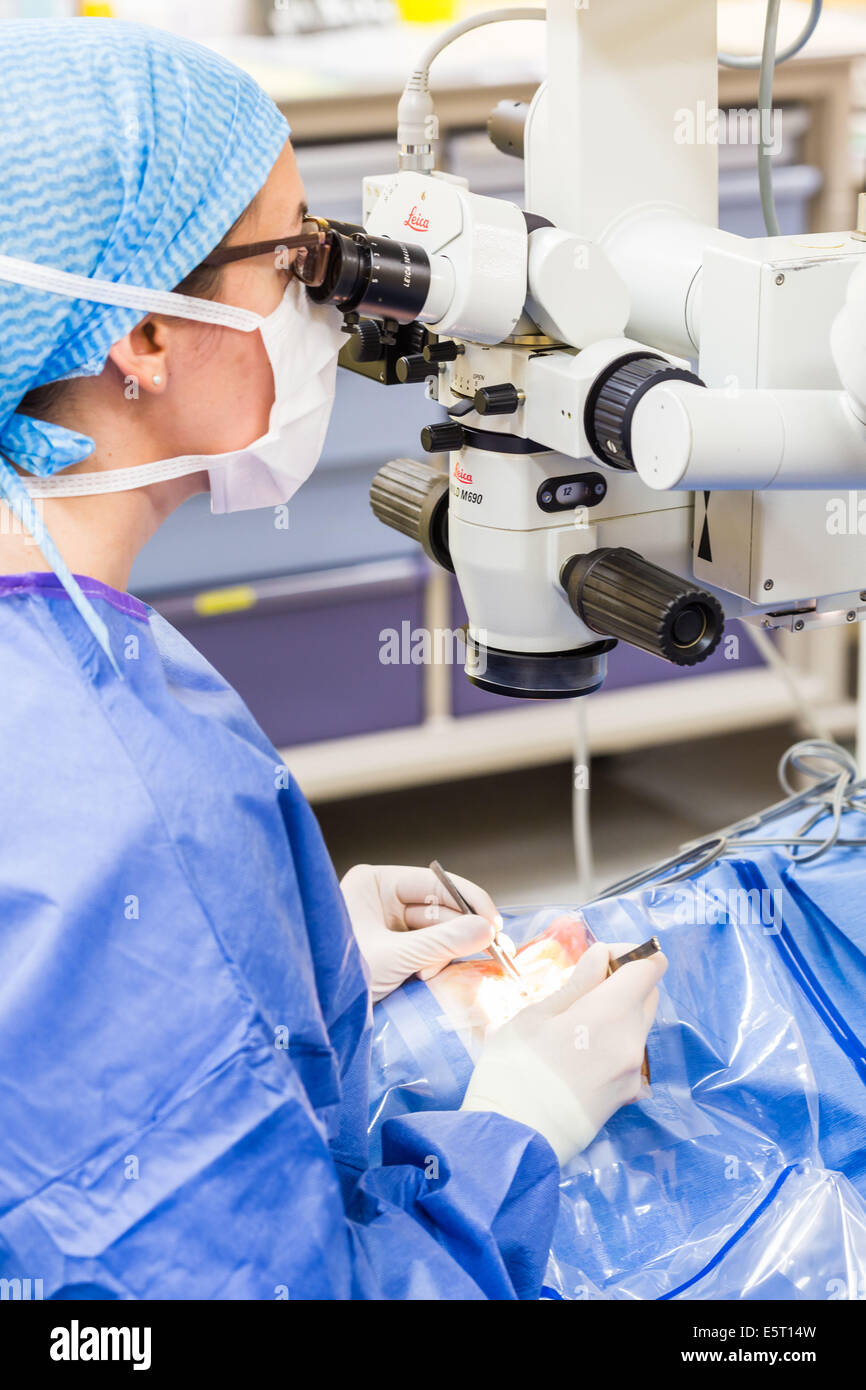 surgery, SaintJoseph hospital, Paris, France Stock Photo Alamy