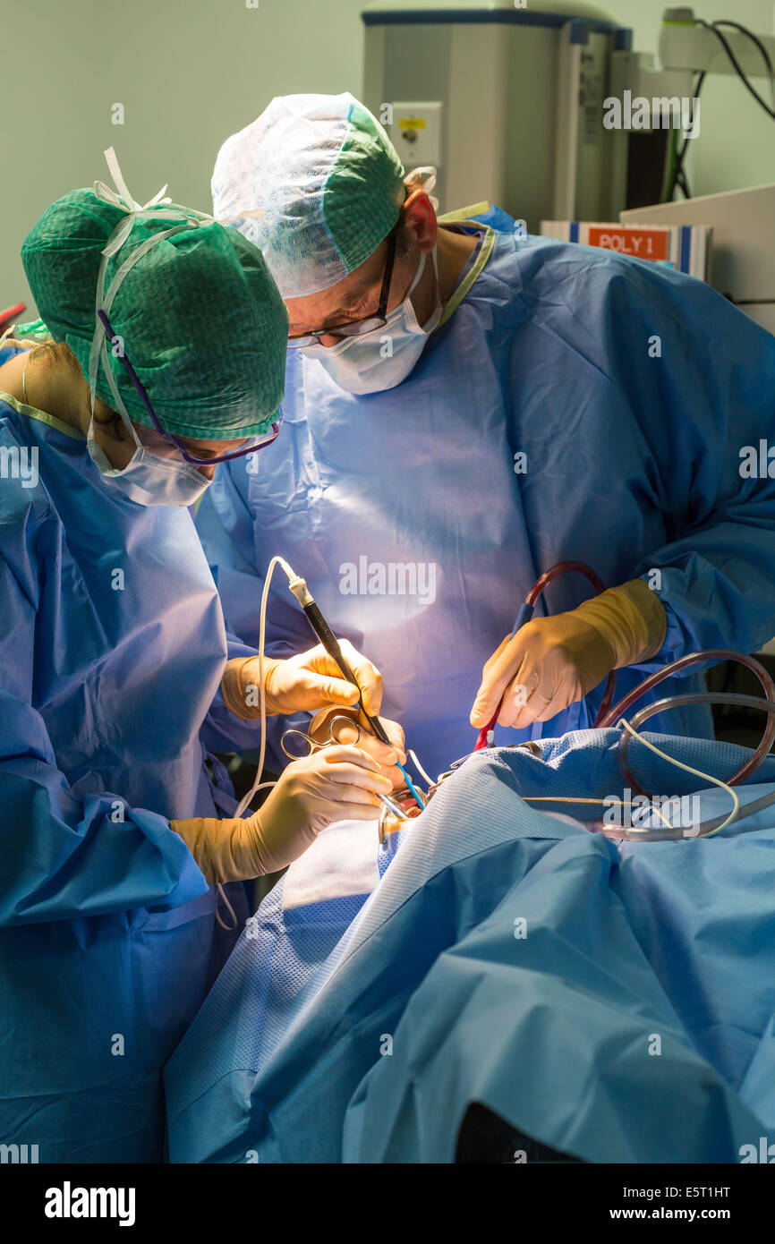 Treatment of snoring tonsillectomy (ablation of tonsils), her intern