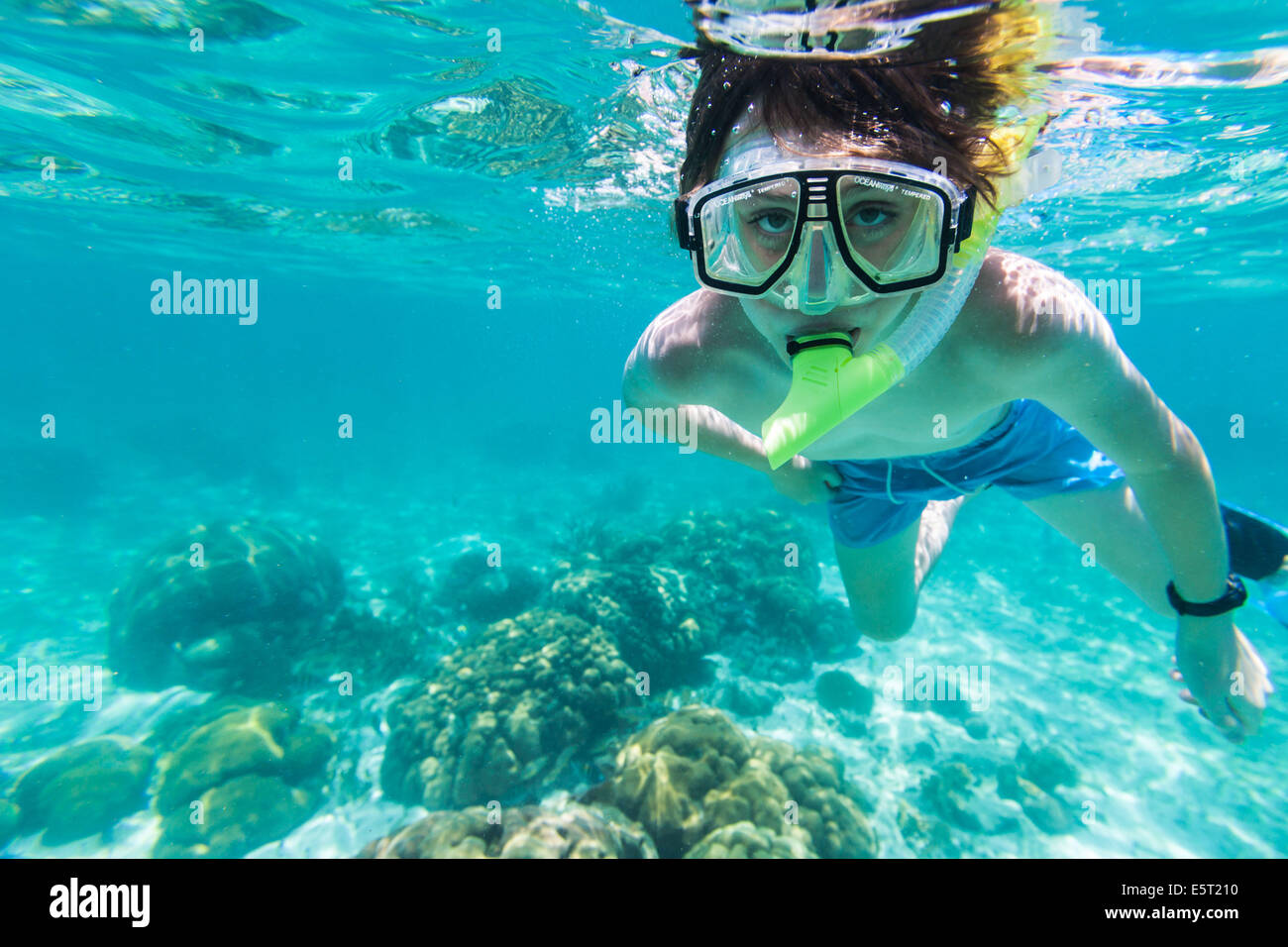 11 year old boy snorkelling Stock Photo Alamy