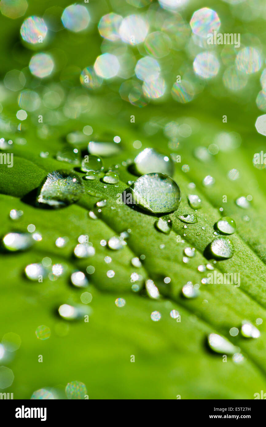 Water still water hi-res stock photography and images - Alamy
