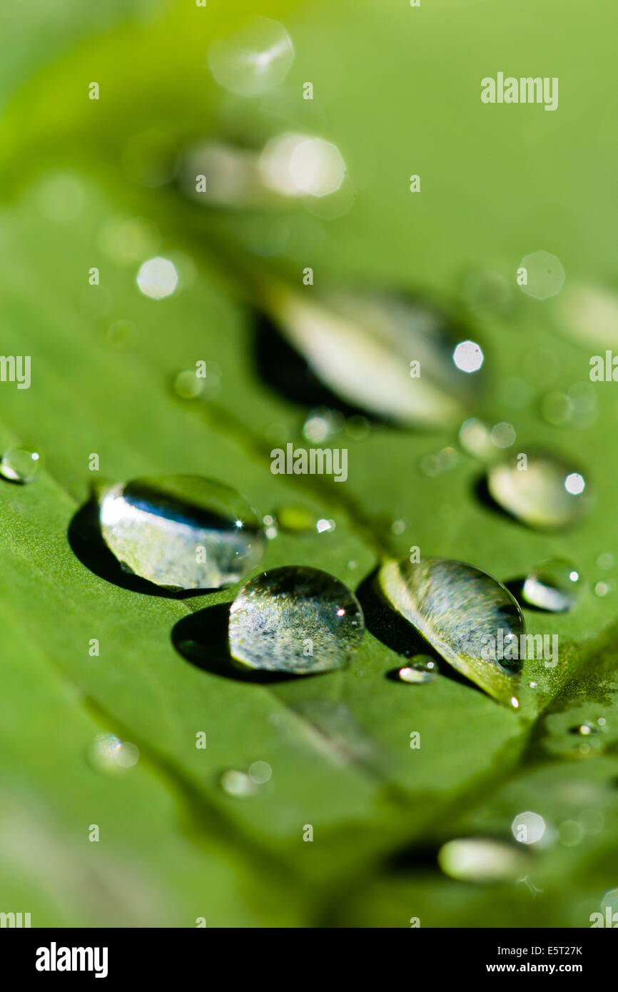 Water still water hi-res stock photography and images - Alamy