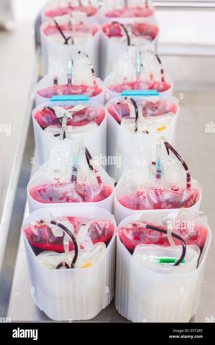 Blood bags, donor blood processing, Army Blood Transfusion Service