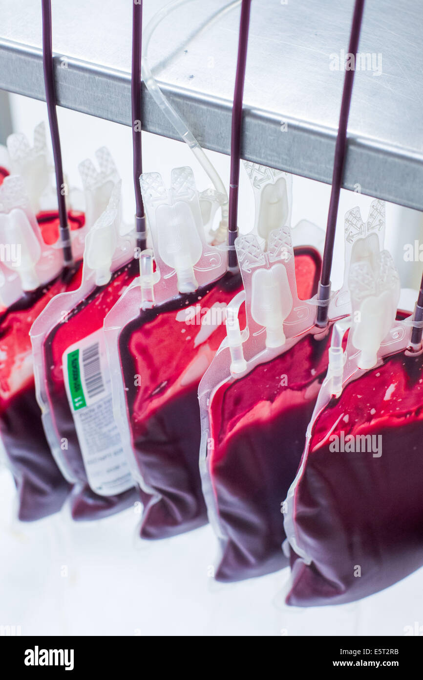 Blood bags, donor blood processing, Army Blood Transfusion Service