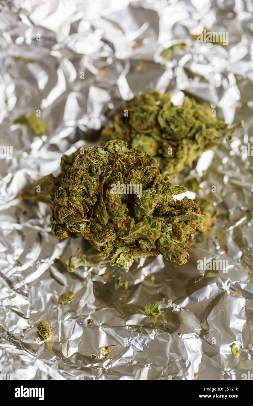 Flowering tops from the plant Cannabis sativa. Stock Photo