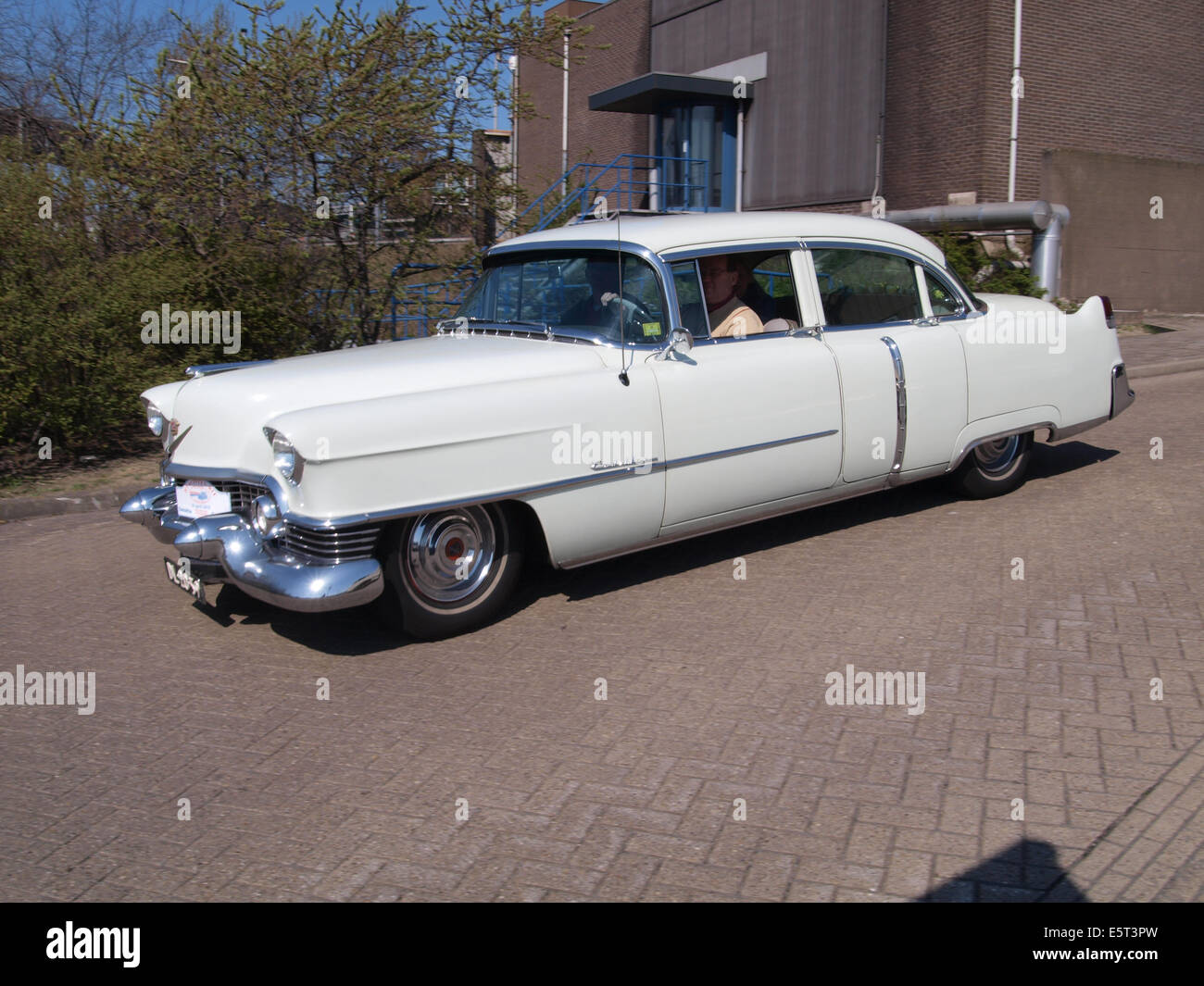 Cadillac 62 (1954), Dutch licence registration DL-20-59, pic11 Stock Photo
