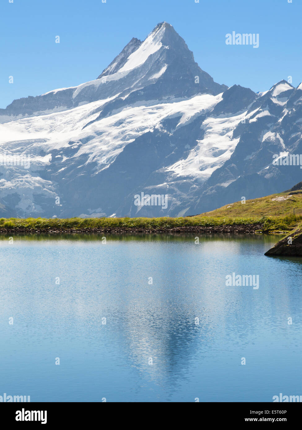 Schreckhorn reflected on the waters of the Bachalpsee in Switzerland. Stock Photo