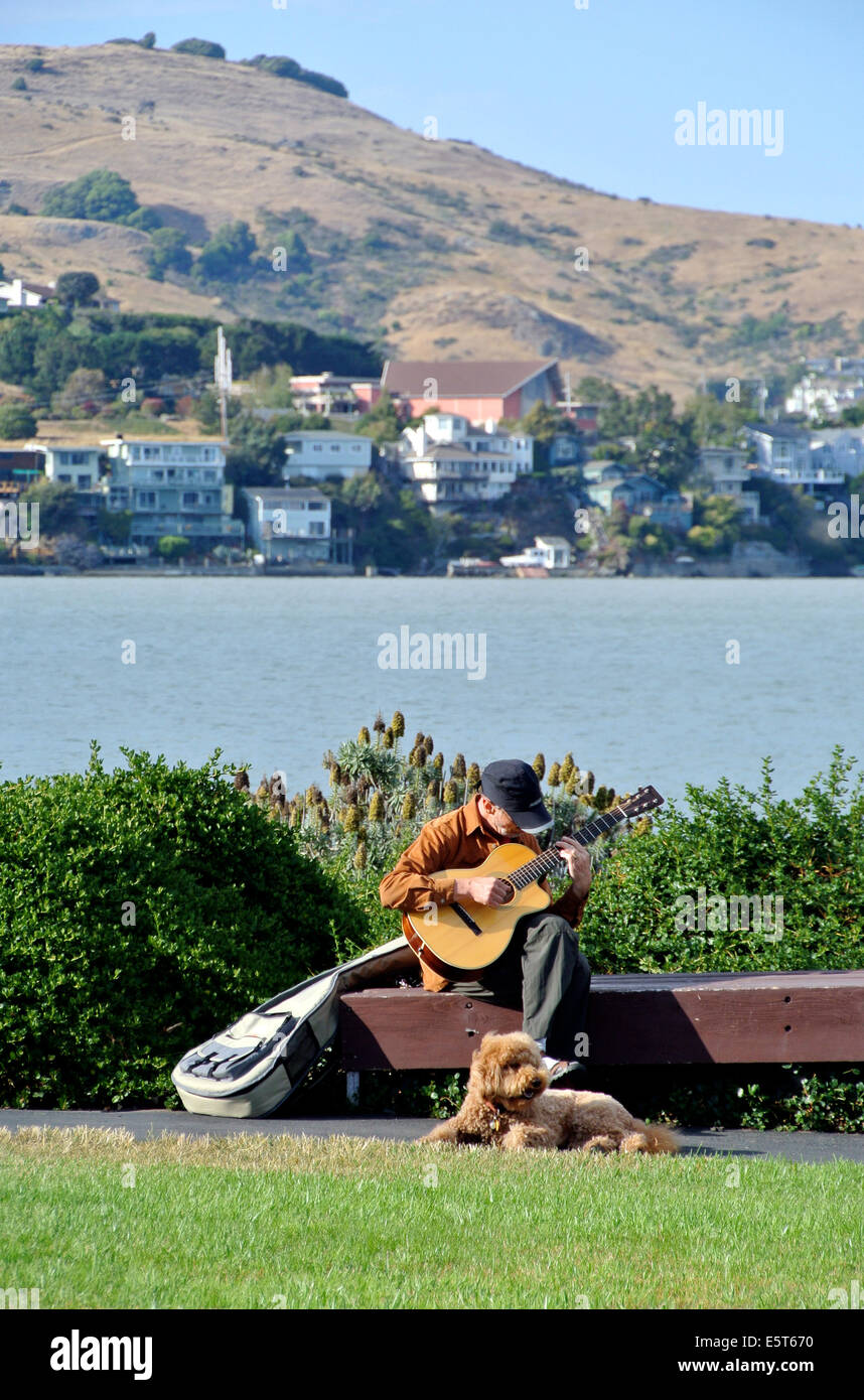 man sitting on park bench  plays guitar while his dog relaxes on grass Stock Photo