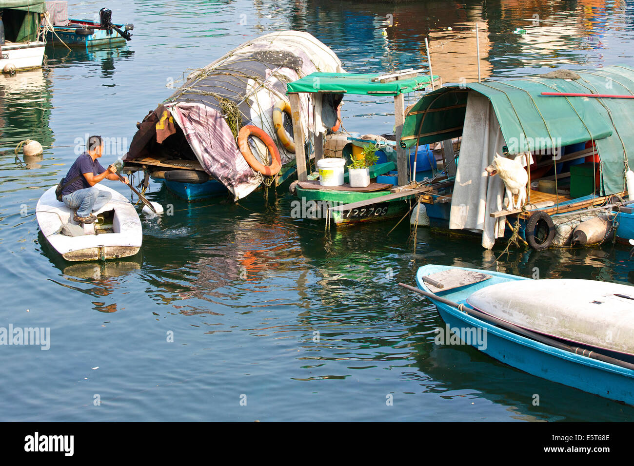 Dog Watches A Chinese Man Rowing His Boat Across The Causeway Bay