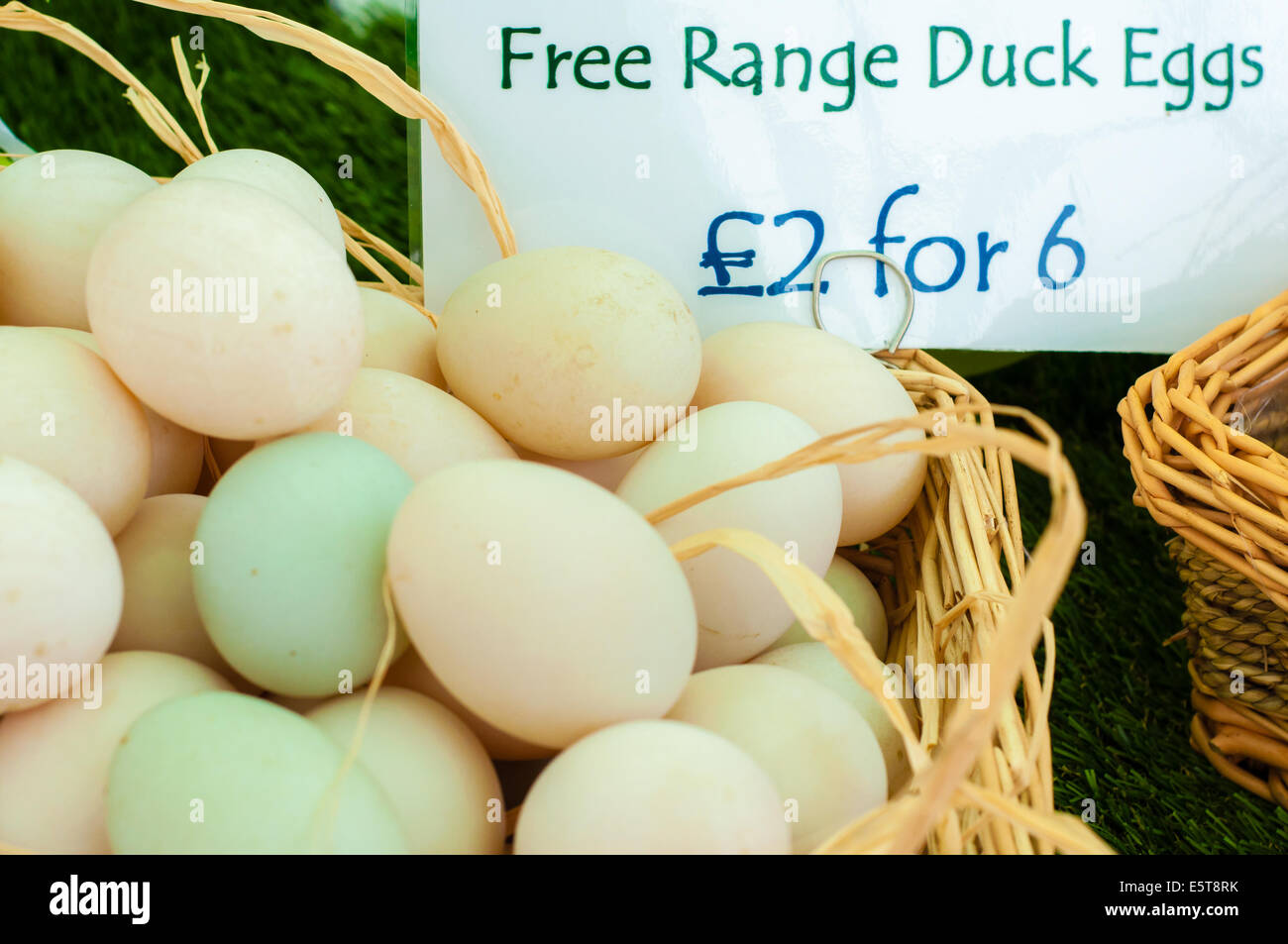 Fresh Look at Free Range Duck Eggs In British Market Stock Photo